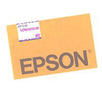 Epson B2 Posterboard - semigloss (C13S041237)